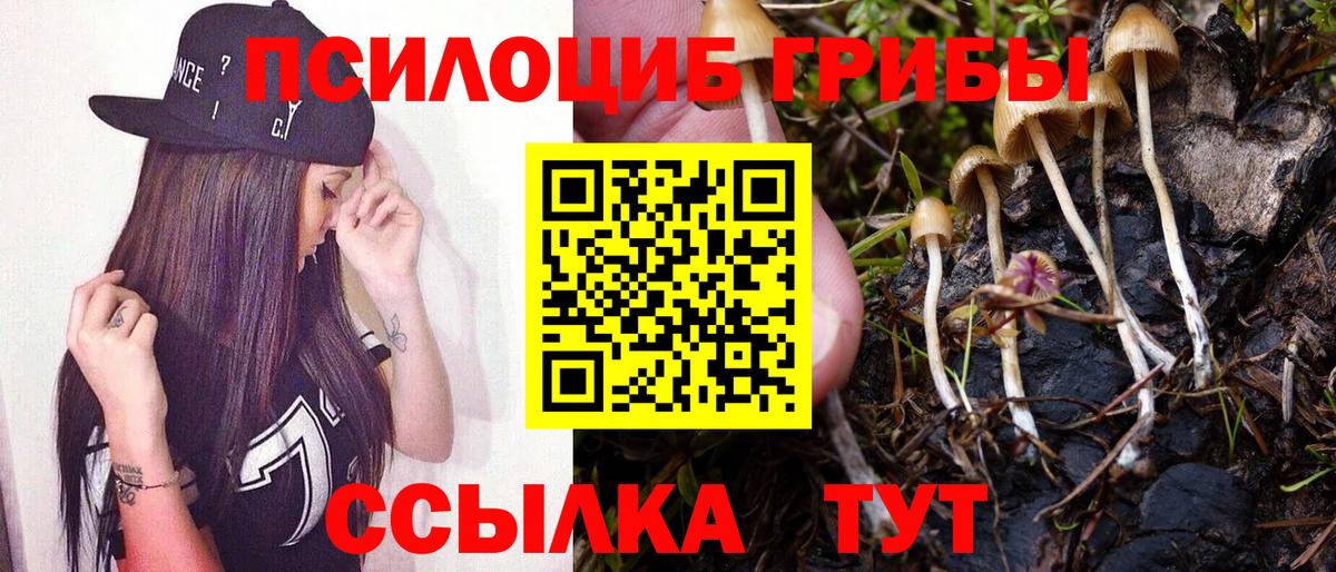 Галлюциногенные грибы мицелий  Вход с VPN  Юрга 