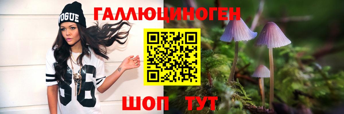 Псилоцибиновые грибы Cubensis Юрга